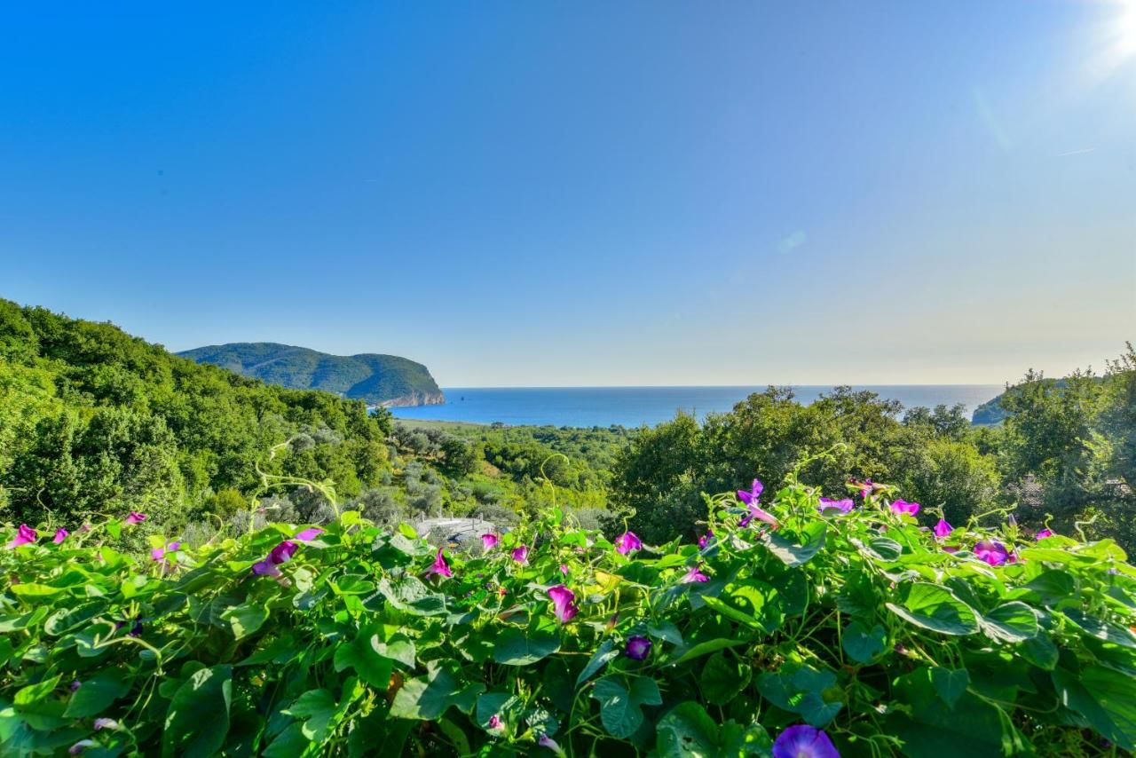 Гостевой дом Pataki Studios Петровац-4