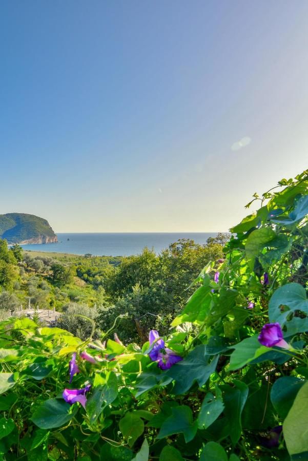 Гостевой дом Pataki Studios Петровац-15