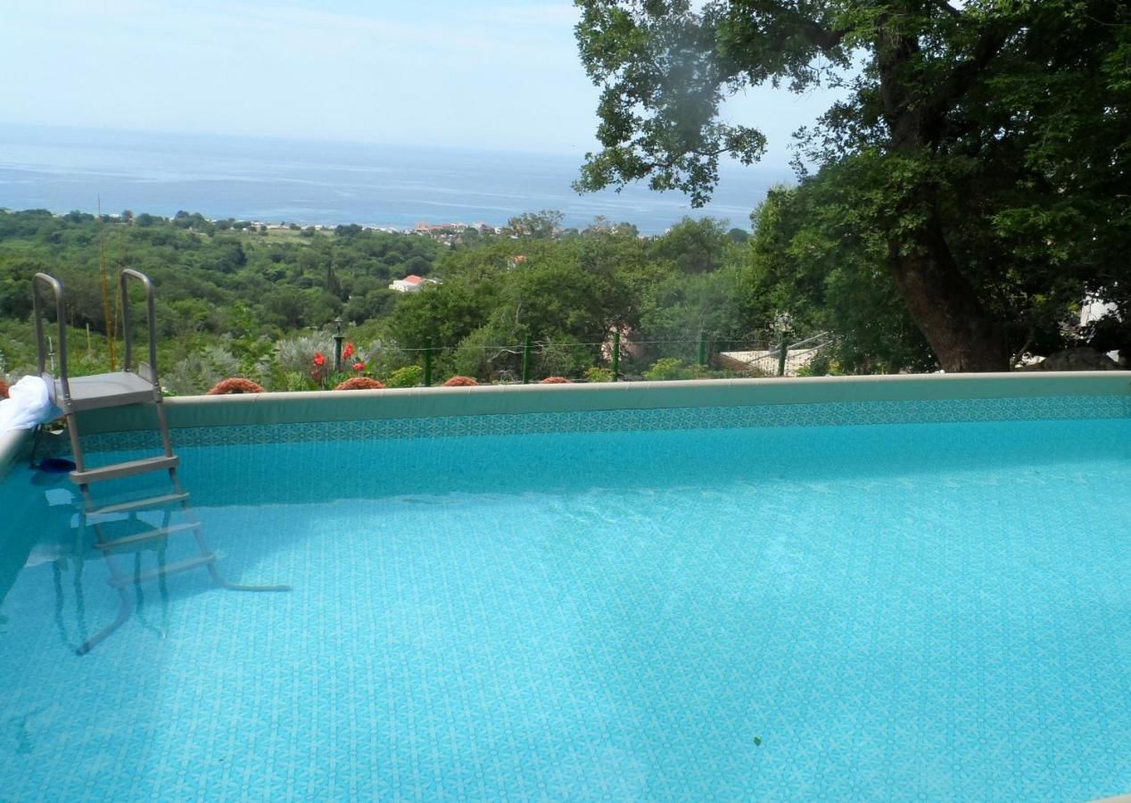 Гостевой дом Pataki Studios Петровац-22