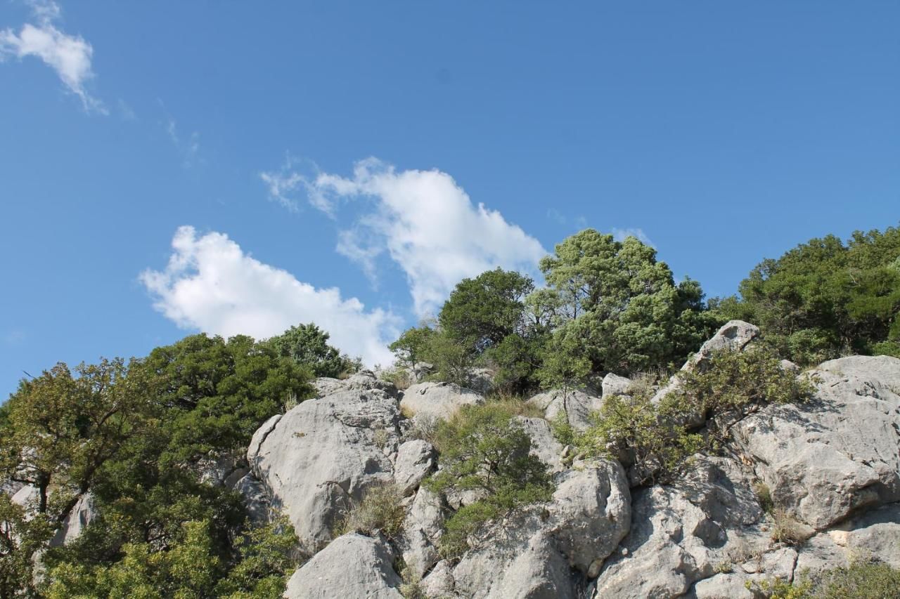 Гостевой дом Pataki Studios Петровац-12