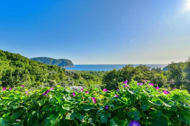 Гостевой дом Pataki Studios Петровац-3