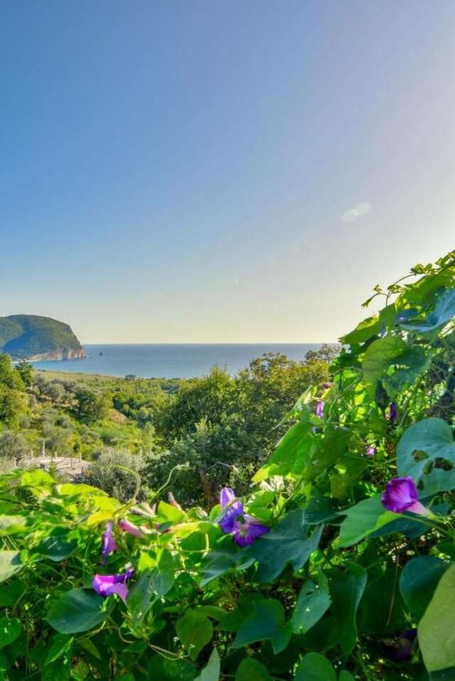 Гостевой дом Pataki Studios Петровац-14