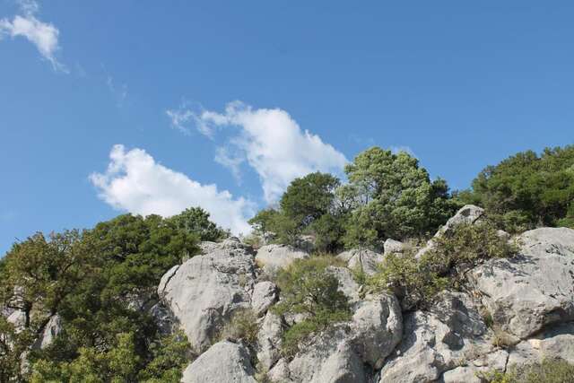 Гостевой дом Pataki Studios Петровац-11